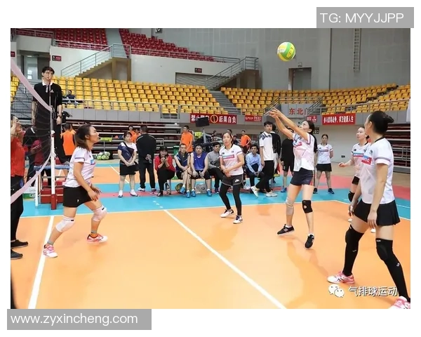 南京排球队整体压制打法深度分析与战术解读