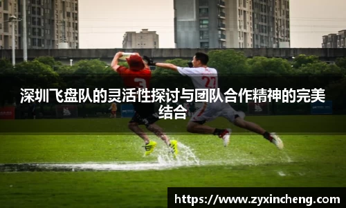 VSport胜利因您更精彩