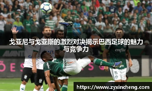 VSport胜利因您更精彩