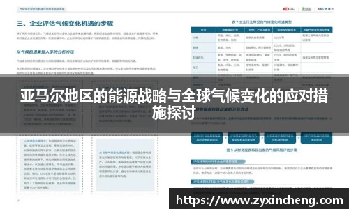 亚马尔地区的能源战略与全球气候变化的应对措施探讨